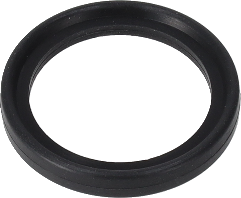 Guarnizione Tri-Clamp® 42MP 2" SFY (Viton) Guarnizione igienica