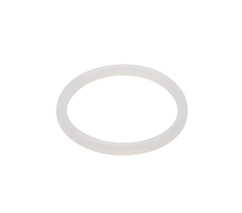 Guarnizione G DN100 Silicone (Q) DIN 11851