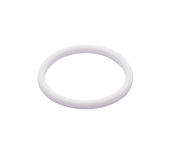 Guarnizione G DN125 PTFE (G) DIN 11851