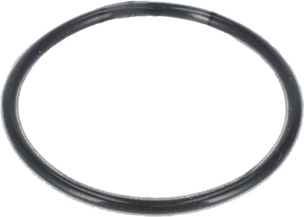 O-RING Ø40 FPM/FEP - TRA GIRANTE E ESTREMITÀ ALBERO