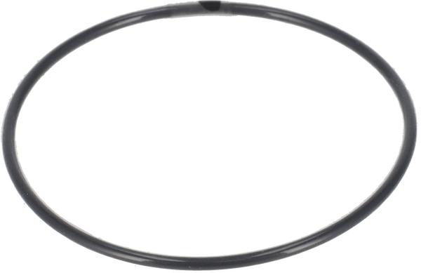 O-RING Ø60 FPM/FEP - TRA GIRANTE E ESTREMITÀ ALBERO