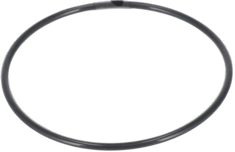 O-RING Ø60 FPM/FEP - TRA GIRANTE E ESTREMITÀ ALBERO