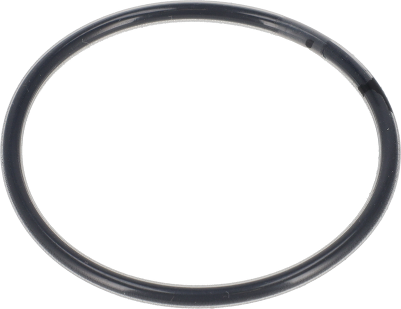 O-RING FPM/FEP - TRA SALDATURA E FLANGIA DI MONTAGGIO Ø134/Ø140/Ø160