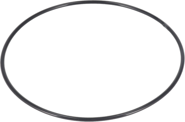 O-RING FPM/FEP - TRA SALDATURA E FLANGIA DI MONTAGGIO Ø200/Ø220