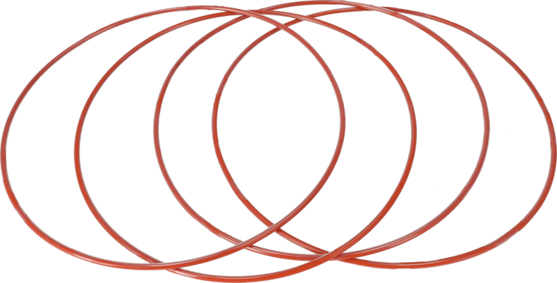 O-RING FPM/FEP - TRA SALDATURA E FLANGIA DI MONTAGGIO Ø285