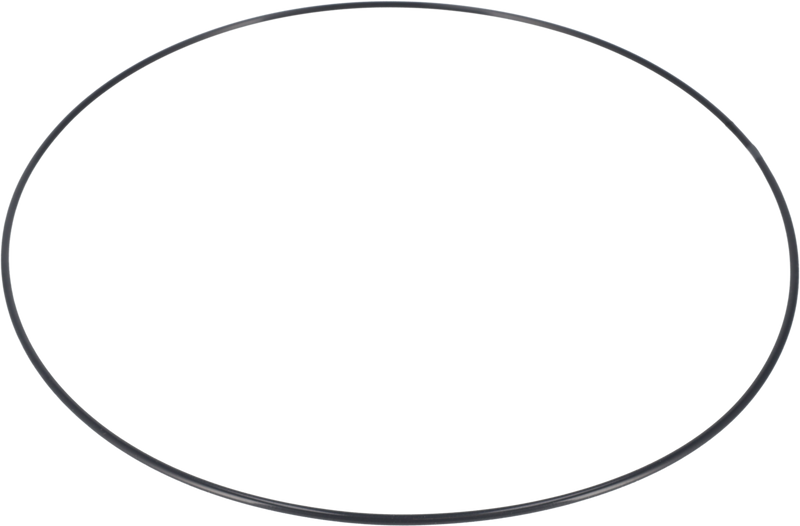 O-RING FPM/FEP - TRA SALDATURA E FLANGIA DI MONTAGGIO Ø300/Ø340