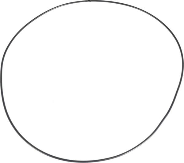 O-RING FPM/FEP - TRA SALDATURA E FLANGIA DI MONTAGGIO Ø395/Ø400/Ø406