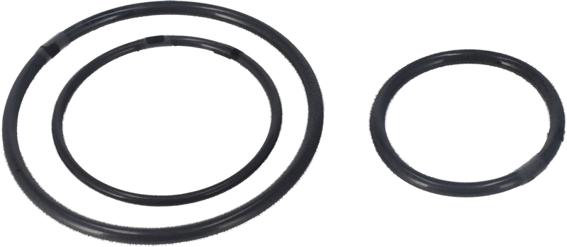 KIT DI MANUTENZIONE SET O-RING - WP81