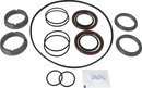 KIT DI SERVIZIO DURACIRC - 52/53/54 GUARNIZIONE FLUSSATA SIC/SIC FPM