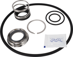 SERVICE KIT i-CP 2010 EPDM - C/SIC SINGLE SHAFT SEAL