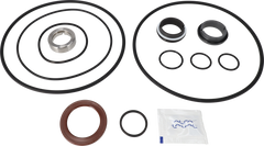 SERVICE KIT EPDM LKH-112 C/SIC - FLUSHED SHAFT SEAL