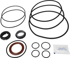 SERVICE KIT FPM LKH-113 C/SIC - FLUSHED SHAFT SEAL