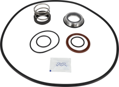 SERVICE KIT EPDM LKH-70 C/SIC - FLUSHED SHAFT SEAL