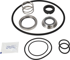 SERVICE KIT FPM LKH-10/15 - C/SIC FLUSHED SHAFT SEAL