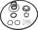 SERVICE KIT EPDM LKH-40/60 - ULTRA PURE USP/SIC/SIC DOUBLE MECH. SHAFT SEAL