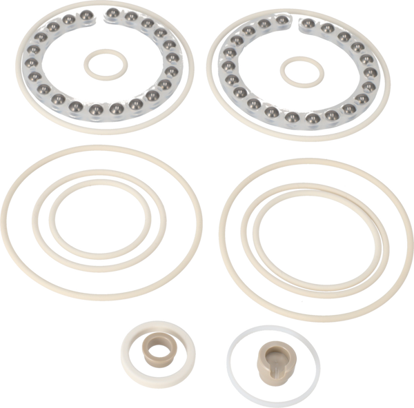 KIT DI MINORE MANUTENZIONE SANIJET 25 - FFKM SUPER DUPLEX Q-DOC (USP)
