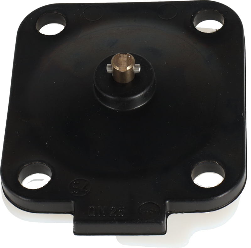 MEMBRANA PTFE/EPDM DN25-1" - BAIONETTA PER VALVOLA A MEMBRANA UNICA DV-ST