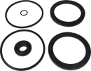 KIT DI SERVIZIO EPDM C/O SPECIALE - GUARNIZIONE A LABBRO 101.6/NW100