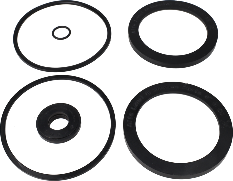 KIT DI SERVIZIO EPDM C/O SPECIALE - GUARNIZIONE A LABBRO 101.6/NW100