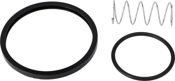 KIT DI SERVIZIO EPDM LKC ULTRAPURE - 51MM/DN50 USP CLASSE VI