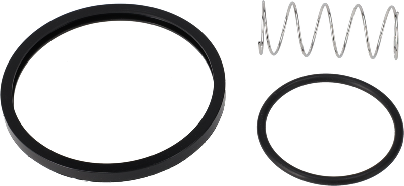 KIT DI SERVIZIO EPDM LKC ULTRAPURE - 51MM/DN50 USP CLASSE VI
