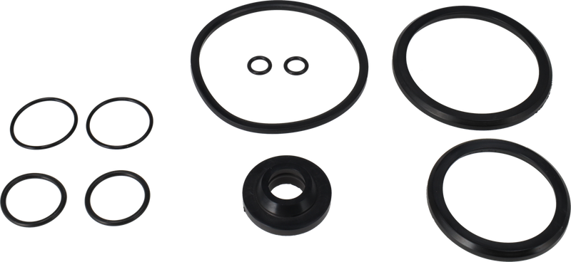 KIT DI SERVIZIO EPDM SMP-BC O/OW - SMP-BC, Valvola di arresto, ISO 63,5/DN65 EPDM con valvola di rilevamento/CIP ø32