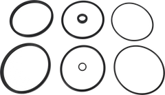 SERVICE KIT EPDM UNIQUE DOUBLE - SEAT 101.6/DN100 PLUG SET-UP 12