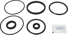 SERVICE KIT EPDM UNIQUE DOUBLE - SEAT 63.5-76/DN65-80 PLUG SET-UP 10 AND 11
