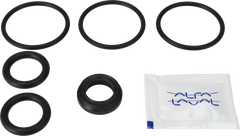SERVICE KIT EPDM UNIQUE SSV -  CHANGE OVER STANDARD AND MANUAL VALVE 25/DN25/1