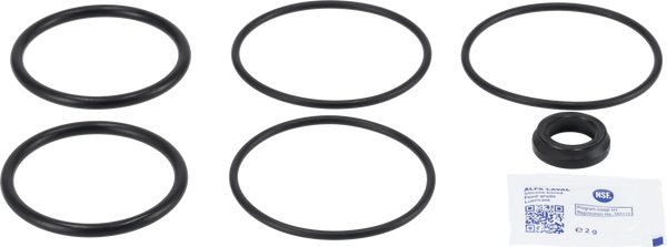 KIT DI SERVIZIO EPDM UNICO SSV - STANDARD/CORSA LUNGA/MANUALE CH. OLTRE 63,5/DN65/2 1/2"
