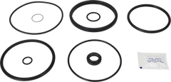 KIT DI SERVIZIO EPDM UNICO-TO - 101.6/DN100 FLANGIA TAPPO VALVOLA SET-UP 12