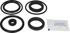 SERVICE KIT HNBR UNIQUE DOUBLE - SEAT 38/DN40 PLUG SET-UP 12