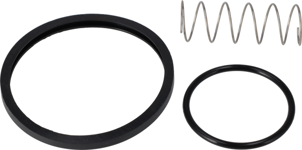 KIT DI MANUTENZIONE NBR LKC-2 51/NW50