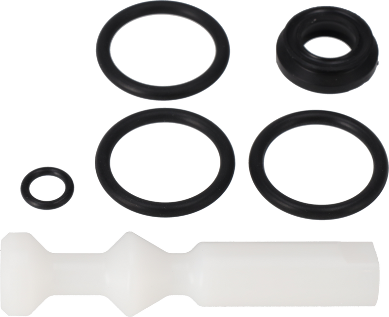 KIT DI SERVIZIO SSSV 19MM EPDM - CAMBIO